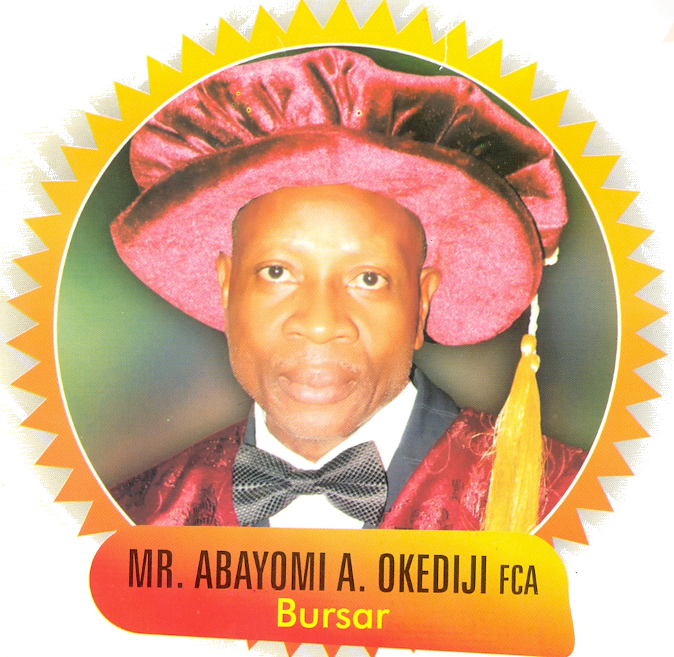 Mr Abayomi A. Okediji